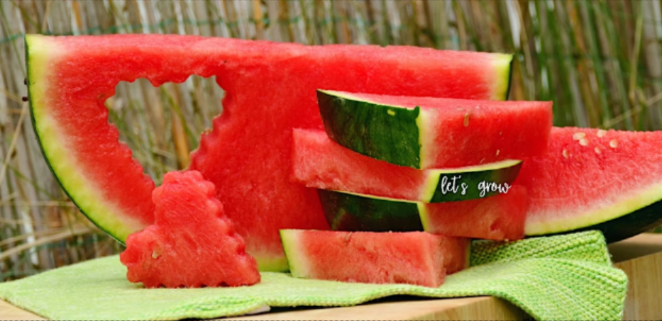 Watermelon Wednesday